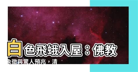 白飛蛾入屋|習俗百科／家中出現大量飛蛾是凶兆？暗示「兩事」將。